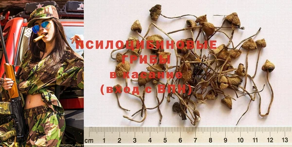 прущая мука Армянск
