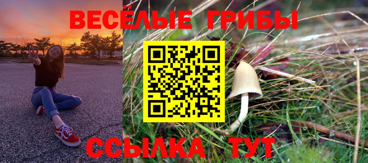 Псилоцибиновые грибы Cubensis Каспийск